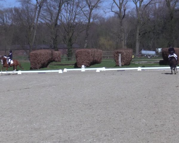 Reitturnier Münster-Handorf 2021