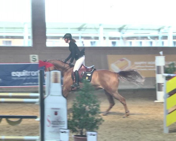 Reitturnier Gut Winkelacker/Obb. 2021