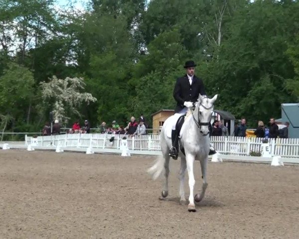 horse Cocktail (Rhinelander, 1997, from Caribo GL)