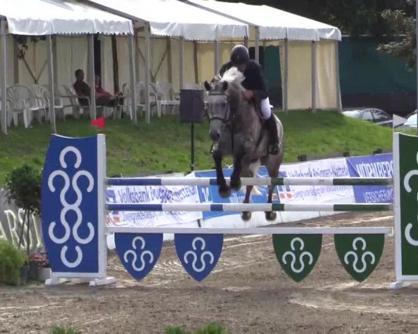 dressage horse Davide (Rhinelander, 1995, from Dinard L)