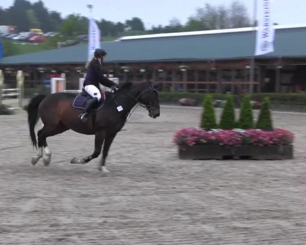 jumper Pamina (Rhinelander, 1997, from Pessoa)