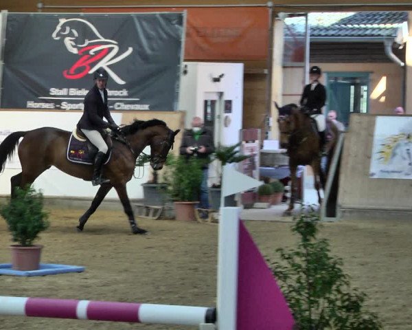 Reitturnier Gut Winkelacker/Obb. 2021