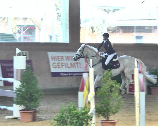 Reitturnier Gut Winkelacker/Obb. 2021