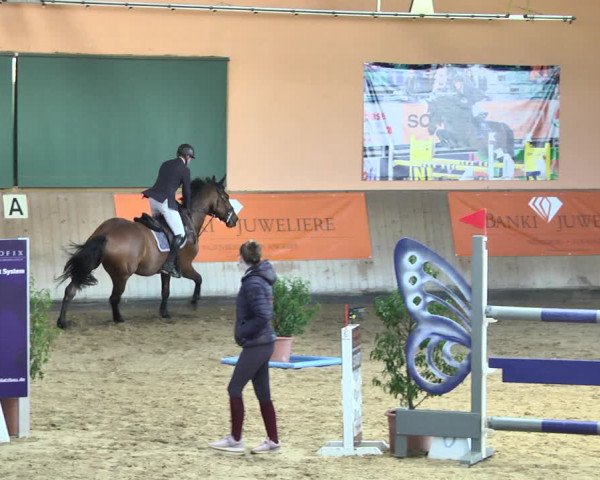 Reitturnier Gut Winkelacker/Obb. 2021