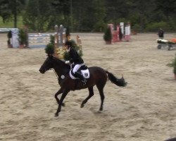 Springpferd Lady BW (Westfale, 1998, von Lanero NRW)