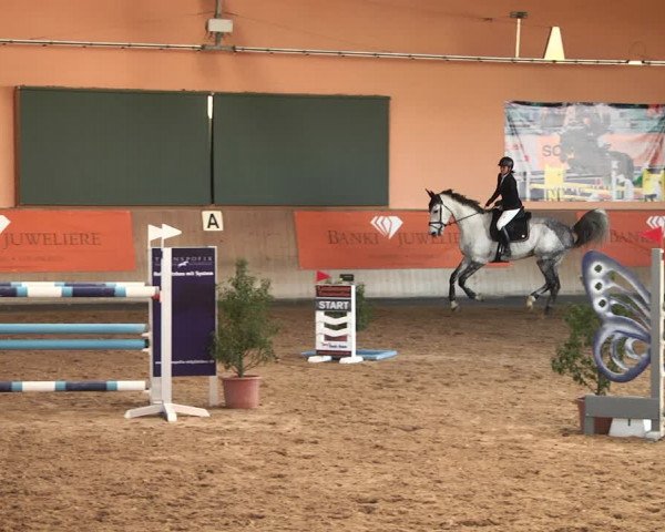 Reitturnier Gut Winkelacker/Obb. 2021