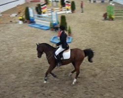 jumper Vegas (German Riding Pony, 1998, from Viscount)