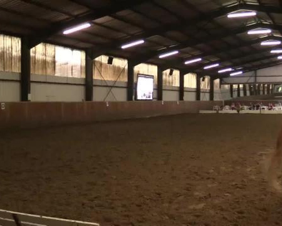 dressage horse Flash-Fire (Appaloosa, 1995, from Mr. Spring Bar)