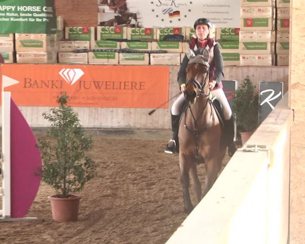 Reitturnier Gut Winkelacker/Obb. 2021