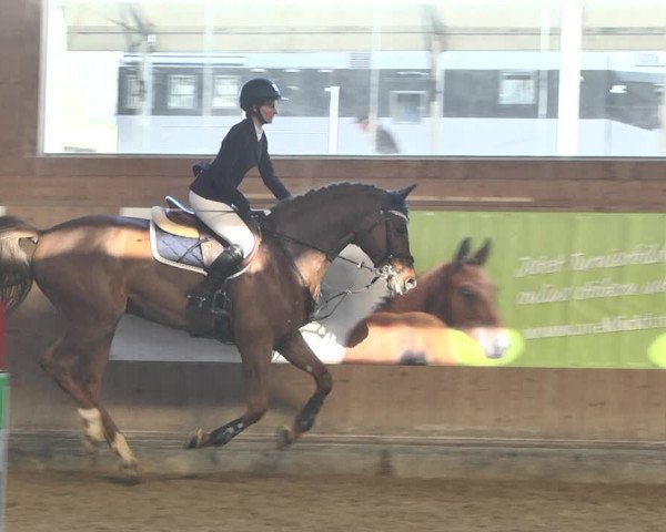 Reitturnier Gut Winkelacker/Obb. 2021