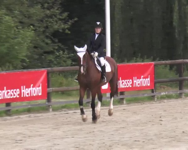 broodmare Grandiana (Westphalian, 1995, from Gralshüter)