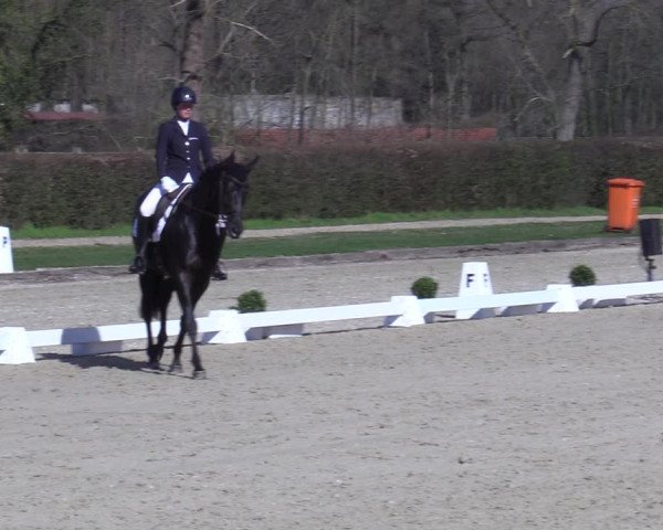 Reitturnier Münster-Handorf 2021