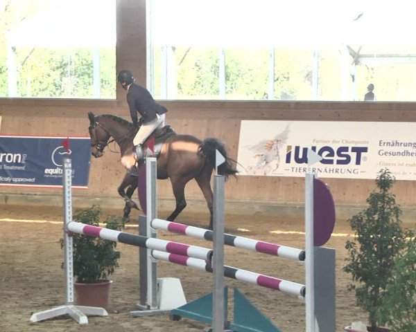 Reitturnier Gut Winkelacker/Obb. 2021