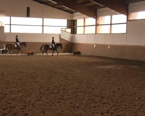 dressage horse Rivah S (Westphalian, 1992, from Rex Fritz)