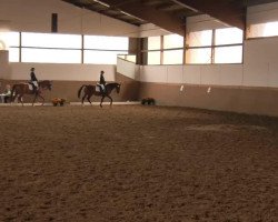 dressage horse Rivah S (Westphalian, 1992, from Rex Fritz)