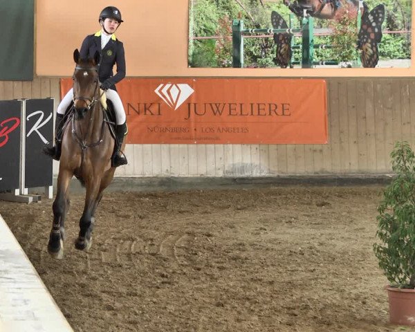 Reitturnier Gut Winkelacker/Obb. 2021