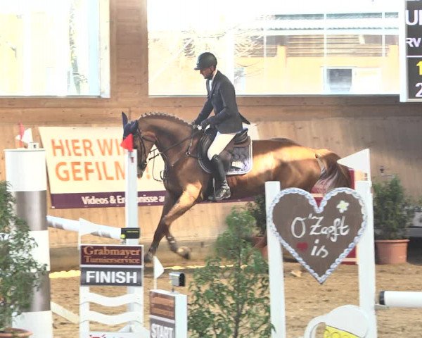 Reitturnier Gut Winkelacker/Obb. 2021