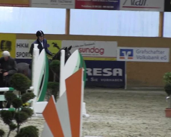 jumper Pocatello (Westphalian, 1994, from Piquet)