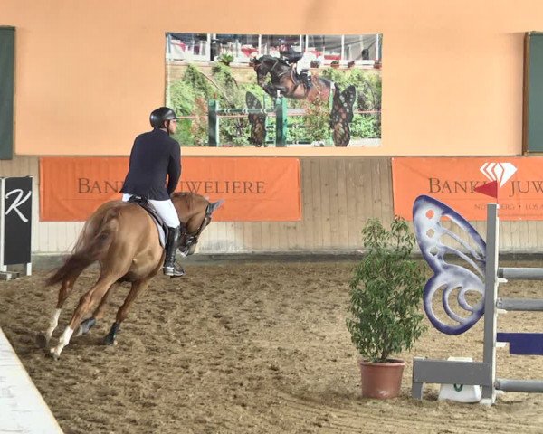 Reitturnier Gut Winkelacker/Obb. 2021