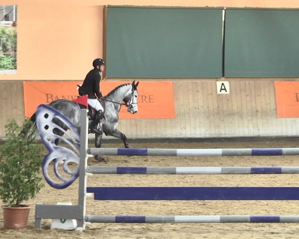 Reitturnier Gut Winkelacker/Obb. 2021