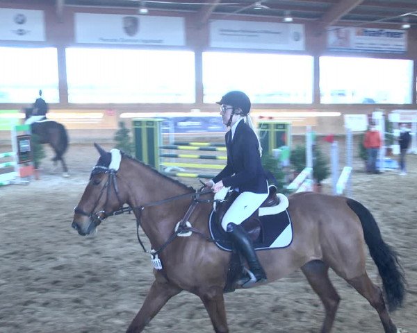 Reitturnier Gut Winkelacker/Obb. 2021