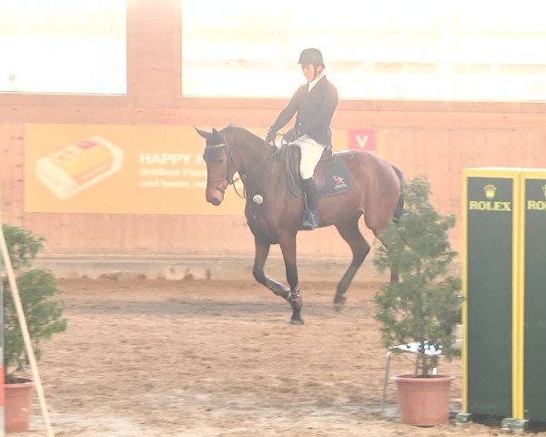 Reitturnier Gut Winkelacker/Obb. 2021