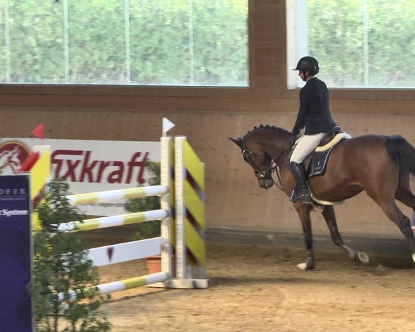 Reitturnier Gut Winkelacker/Obb. 2021