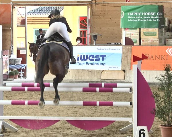 Reitturnier Gut Winkelacker/Obb. 2021