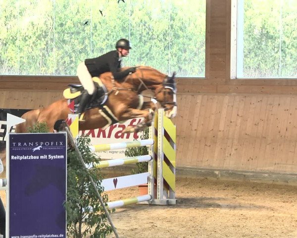 Reitturnier Gut Winkelacker/Obb. 2021