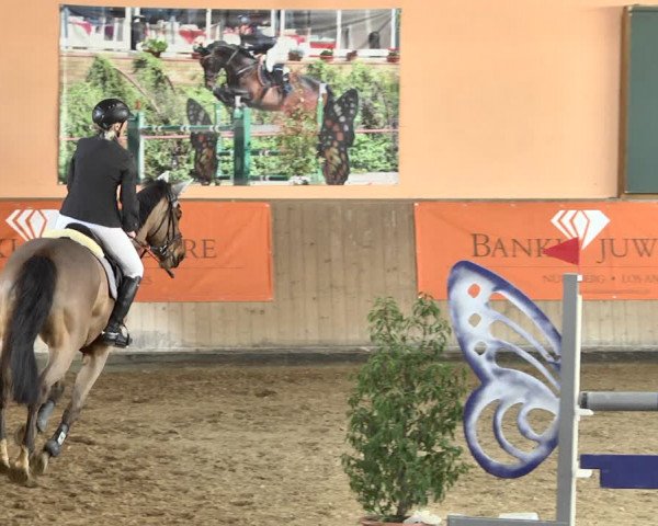 Reitturnier Gut Winkelacker/Obb. 2021