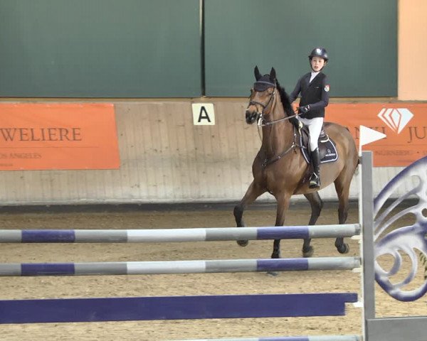 Reitturnier Gut Winkelacker/Obb. 2021