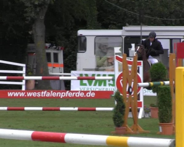 dressage horse Barcadi (Westphalian,  , from Bengale)