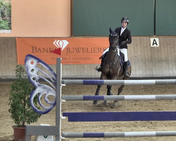 Reitturnier Gut Winkelacker/Obb. 2021