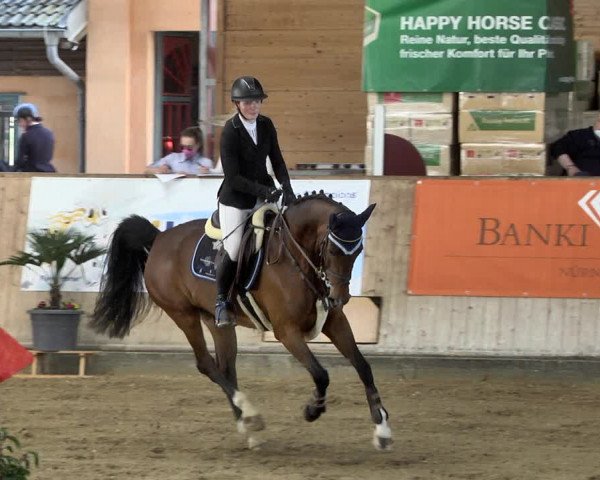 Reitturnier Gut Winkelacker/Obb. 2021