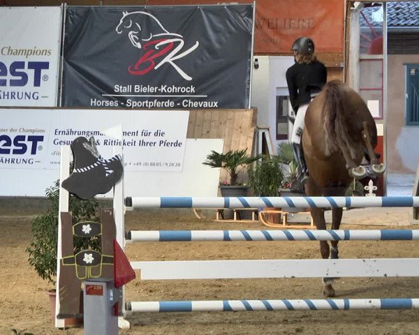 Reitturnier Gut Winkelacker/Obb. 2021