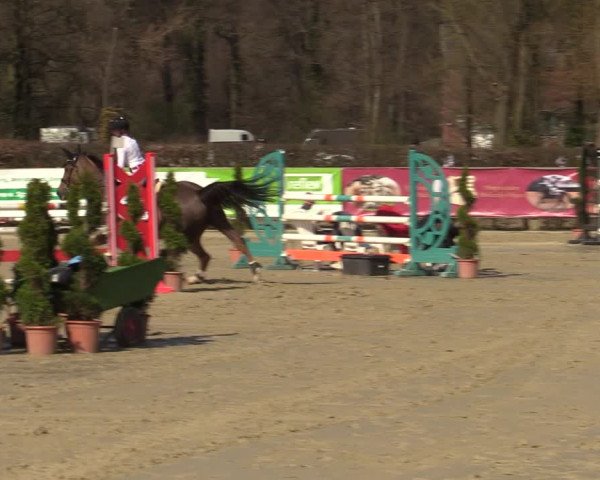 Reitturnier Münster-Handorf 2021
