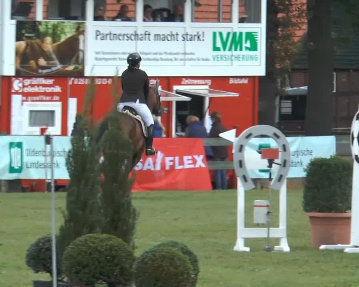 jumper Miss Montana 3 (Oldenburg, 1999, from Santander H)