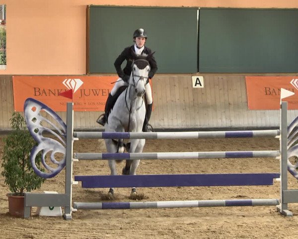 Reitturnier Gut Winkelacker/Obb. 2021