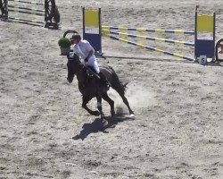 jumper Charlsten 2 (Oldenburg, 1997, from Calido I)