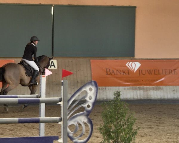 Reitturnier Gut Winkelacker/Obb. 2021
