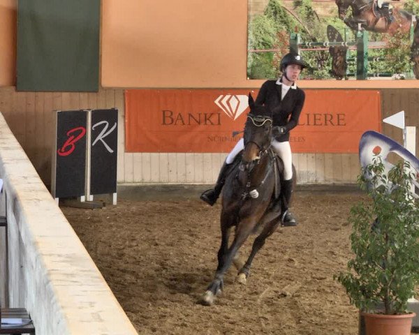 Reitturnier Gut Winkelacker/Obb. 2021