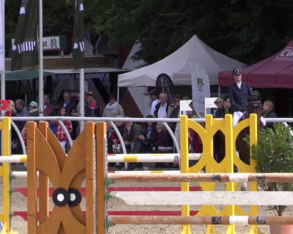 jumper Fuerstenglanz 2 (Oldenburg, 1986, from Furioso II)