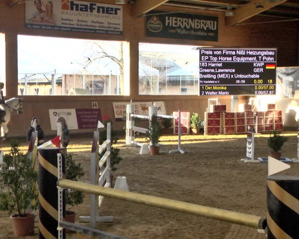 Reitturnier Gut Winkelacker/Obb. 2021