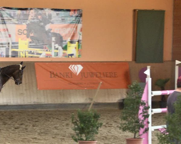 Reitturnier Gut Winkelacker/Obb. 2021
