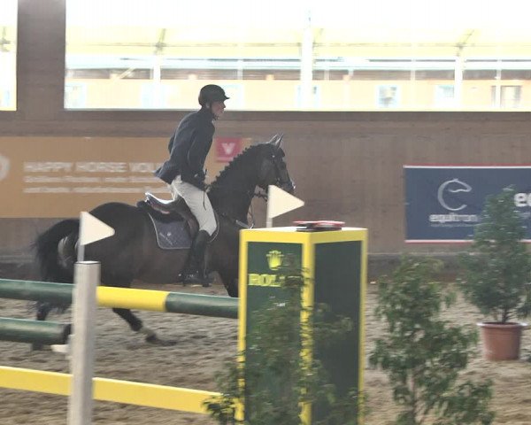 Reitturnier Gut Winkelacker/Obb. 2021