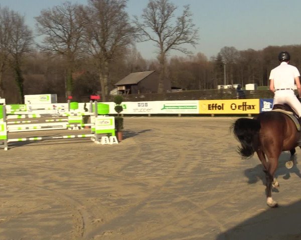 Reitturnier Münster-Handorf 2021