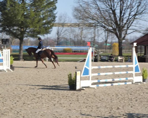 Reitturnier Scharnebeck 2021