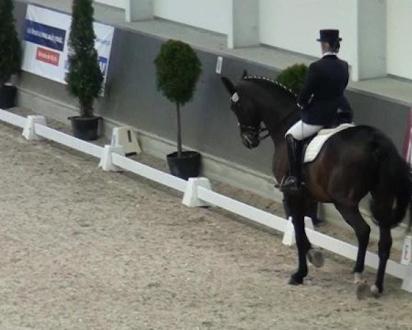 dressage horse Worldprince (Hanoverian, 1997, from World Cup II)