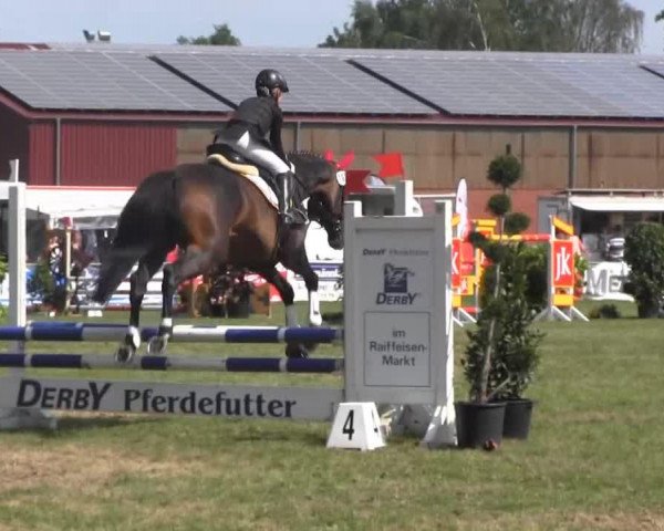dressage horse Marigee (Hanoverian, 1999, from Metternich)