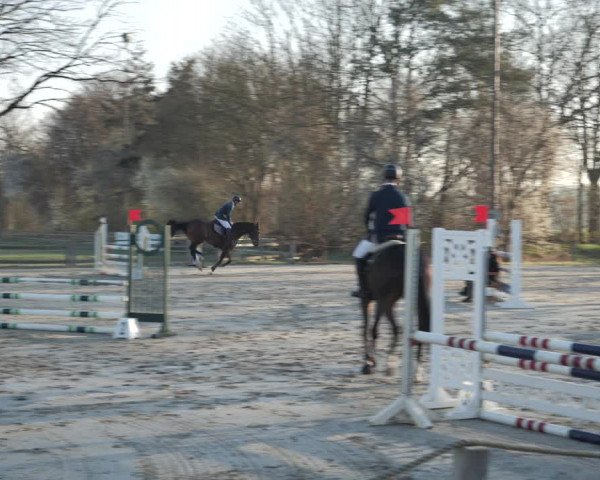 Reitturnier Scharnebeck 2021